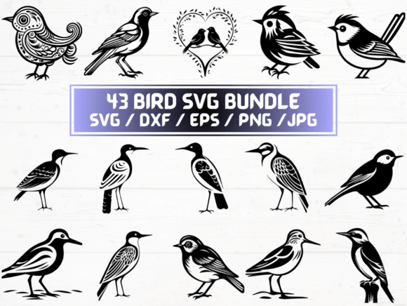 Bird SVG: A Strategic Asset for Modern Digital Creators and Businesses