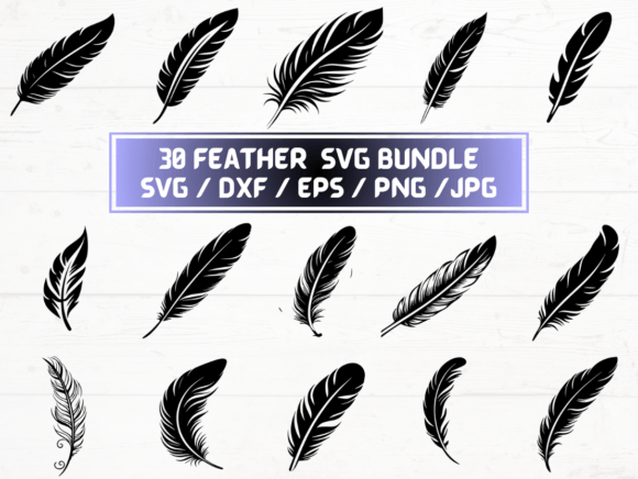 Feather SVG Files: A Practical Evaluation for Designers and Crafters