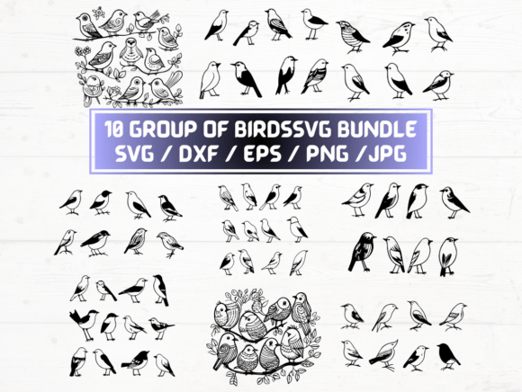 Group of Birds SVG: Versatile Digital Art for Creators, Educators, and Small Businesses